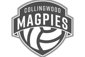 Magpies